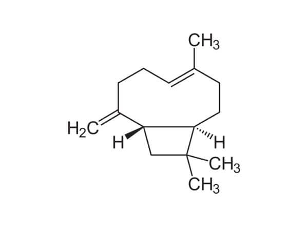 Caryophyllene